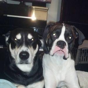 Meet your Posher, Kelly